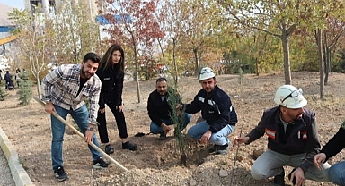 Yüzlerce fidan toprakla buluştu