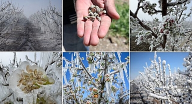Zirai don için kapsamlı çalışma: Etkileri araştırılacak