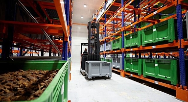 Zirai dona rağmen kayısı ihracatta hız kesmedi