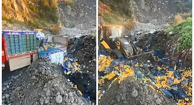 Zirai ilaç alarmı! 6 ton mandalina imha edildi