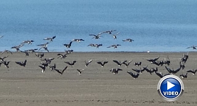 Zorlu göçün durakları göller