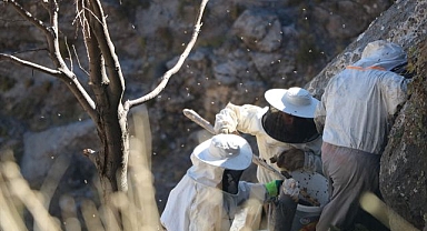 Zorlu kaya balı hasadı! Kilometrelerce yüksekliğe tırmanıyorlar