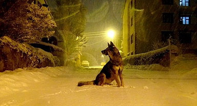 17 köy yolu ulaşıma kapandı