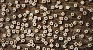 2025 yılının kelimesi 