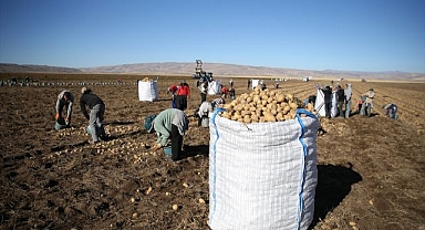 50 bin dekarlık hasat mesaisi