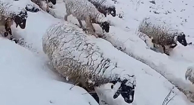 Aniden bastıran karda zorlu yolculuk