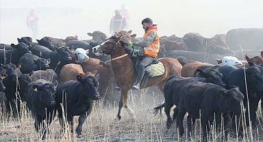 Atlı çobanların zorlu mesaisi