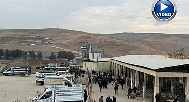 Aylardır kapalıydı! Hayvan pazarı açıldı