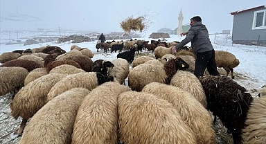 Besicilerin zorlu kış mesaisi