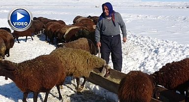 Besicilerin zorlu mesaisi başladı 