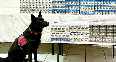 Binlerce paket gümrük kaçağı sigara ele geçirildi