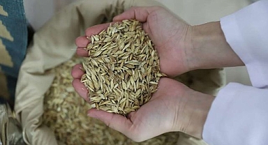 Buğdayın atası bölgenin değeri oldu