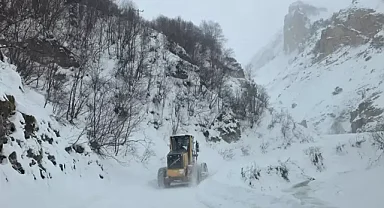 Çığ düştü: Çobanlar altında kaldı