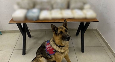 Çuvalların içinden çıkanlar şoke etti!