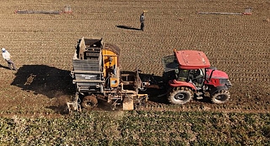 Doğu Anadolu’da şeker mesaisi! Üretim 76 bini aşacak