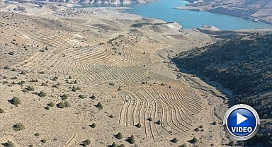 Doğu'da 9 milyon tohum ve fidan toprakla buluşturuldu