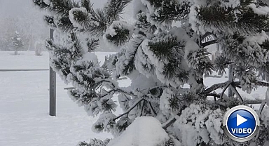 Dondurucu soğuklar etkisini artırdı