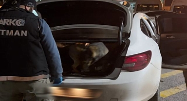 Durdurulan araçtan çıkanlar şoke etti!