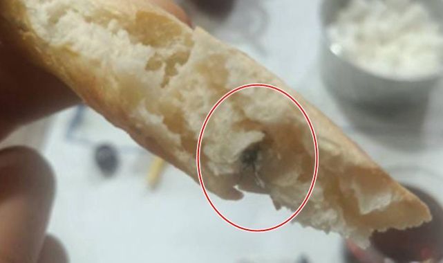Ekmeğin içinden çıkanlar mide bulandırdı!