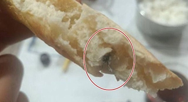 Ekmeğin içinden çıkanlar mide bulandırdı!