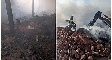 Erzurum'da ahır ve samanlık yangını! Onlarca hayvan can verdi...
