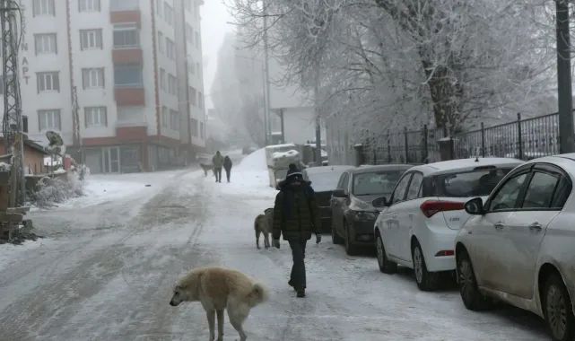 Erzurum’da soğuk hava etkisini sürdürüyor