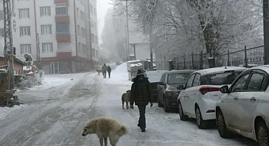 Erzurum’da soğuk hava etkisini sürdürüyor