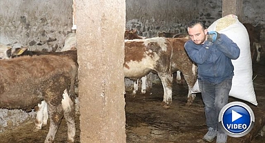 Genç veteriner hibe desteğiyle işini büyüttü