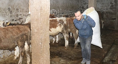 Genç veteriner hibe desteğiyle işini büyüttü