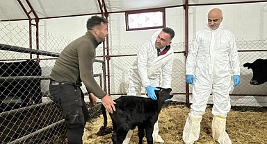 Genç veterinere hayvancılık desteği