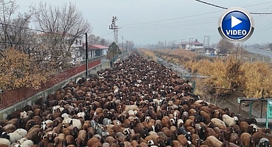 Göçerlerin zorlu yolculuğu!