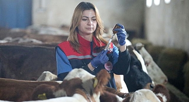 Hayvan sağlığı için sahadalar