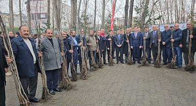 Hedef ceviz yetiştiriciliğini güçlendirmek