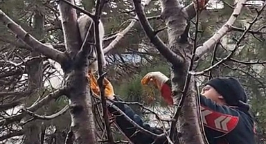 İtfaiyeden kedi kurtarma operasyonu  