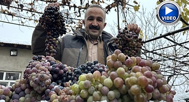 Kara kışa meydan okuyan lezzet