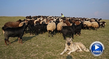Karın yağmaması yüzleri güldürdü