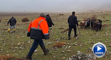 Kayalıklarda mahsur kaldılar! Operasyonla kurtardılar