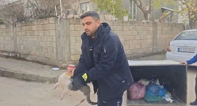 Konserve kutusuna sıkışan kedi kurtarıldı
