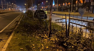 Köpeğe çarpmamak için refüje çıktı