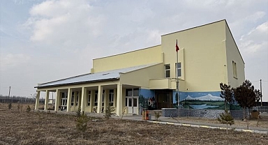 Köpek sorununa valilikten çözüm