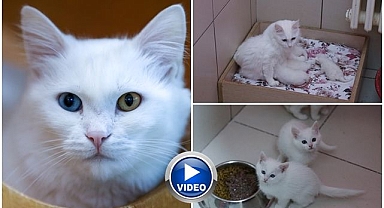 Koruma altındaydılar: 120 yavruları oldu