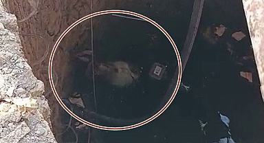 Kuyuya düşen keçi için seferber oldular