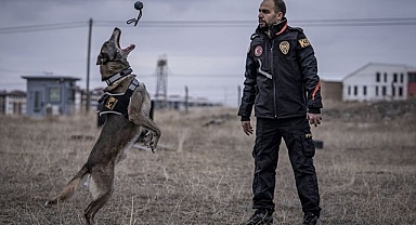 Melo depremden cinayete ekiplerin iz sürücüsü 
