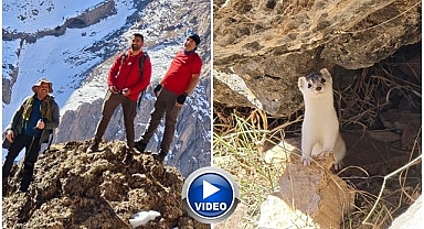 Nesli tehlike altındaydı! Dağcılar tarafından görüntülendi