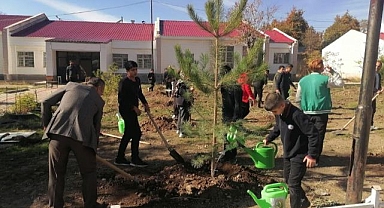 Okul bahçelerinde yeşil seferberliği