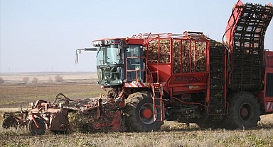 On binlerce ton pancar şekere dönüştürüldü