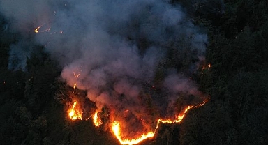 Orman yangınında ekipler seferber oldular 