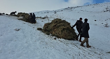 Otlar kızaklarla köye taşınıyor