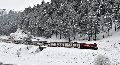 Sarıçam ormanları beyaza bürüdü