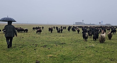 Sıcak hava besicilerin yüzünü güldürdü